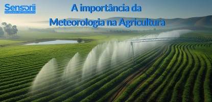 A Importância da Meteorologia na Agricultura